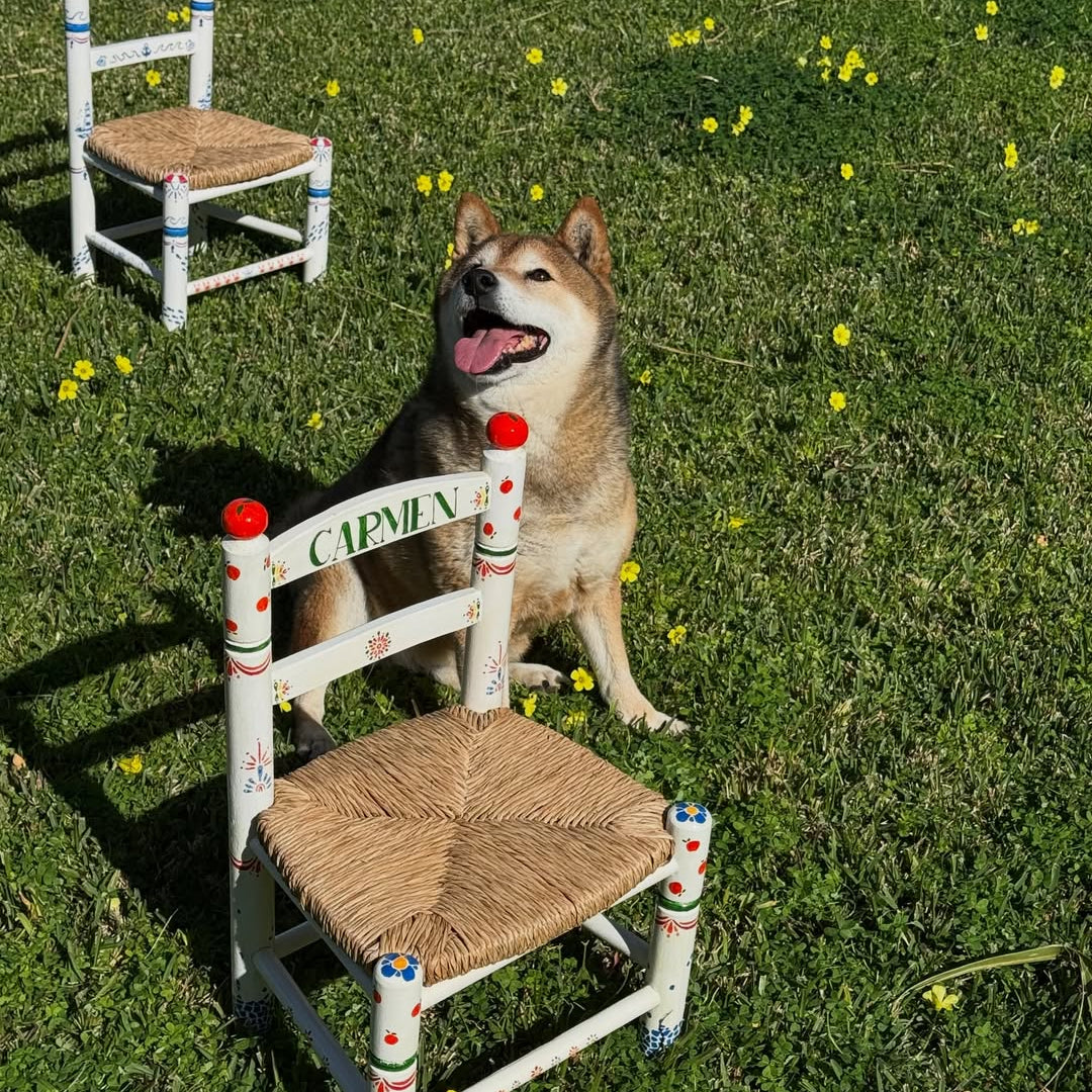 Imagen de diapositiva