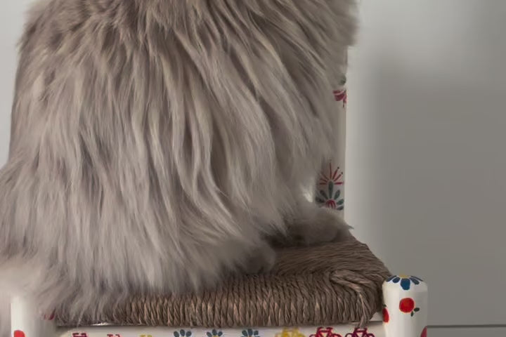 Imagen de diapositiva