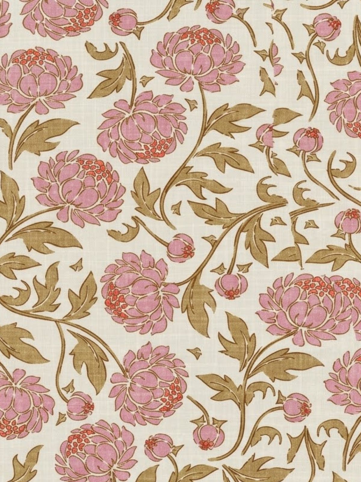 Imagen de diapositiva